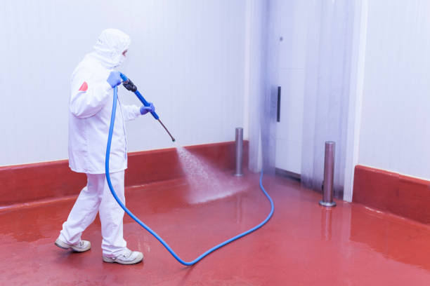 Paint Preparation in Cosmopolis, WA