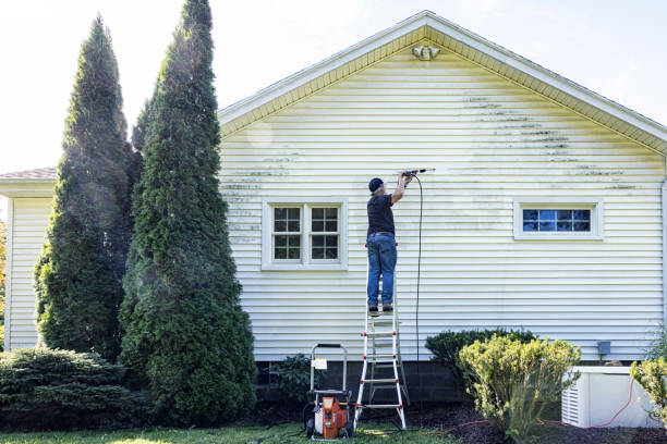 Best Driveway Pressure Washing  in Cosmopolis, WA